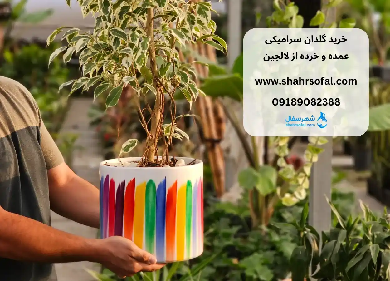 خرید گلدان سرامیکی جدید